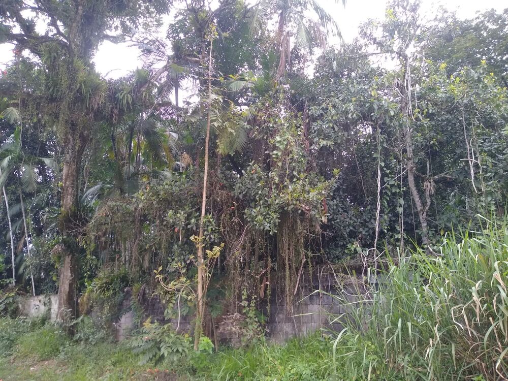 Terreno, 1000 m² - Foto 4