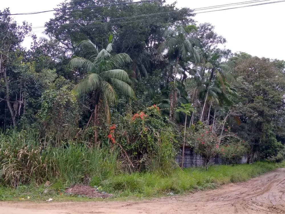Terreno, 1000 m² - Foto 1