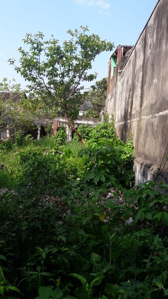 Terreno, 250 m² - Foto 2