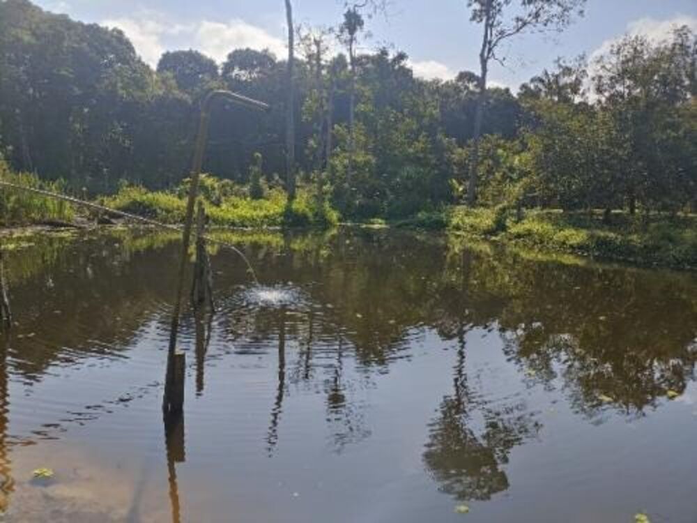 Chácara, 2 quartos - Foto 8