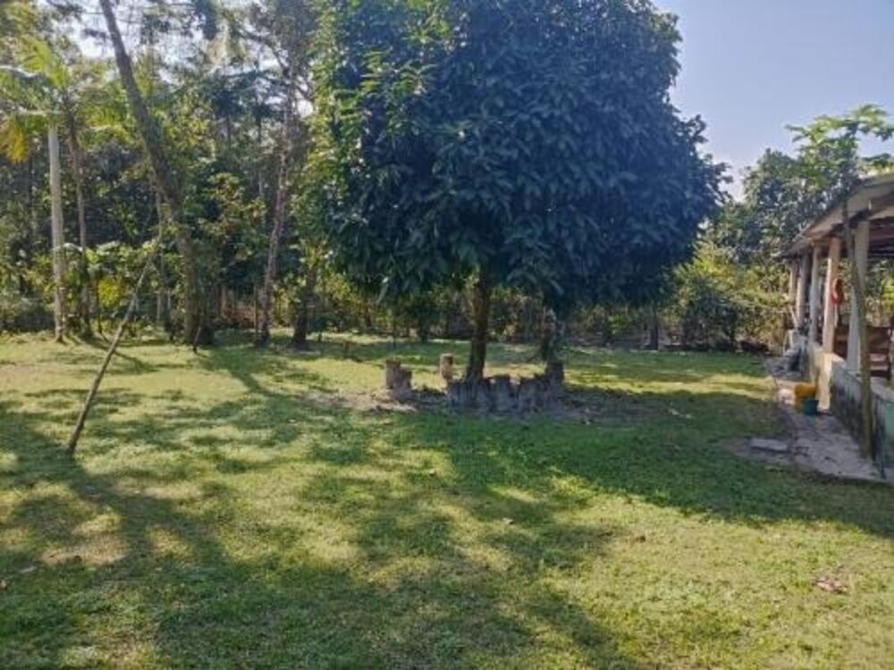 Chácara, 2 quartos - Foto 16