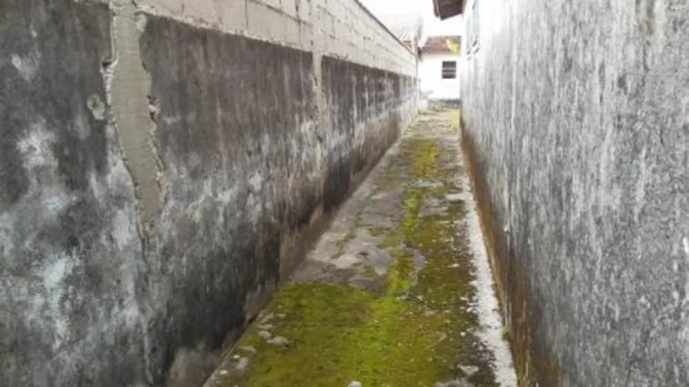 Casa, 2 quartos, 120 m² - Foto 6