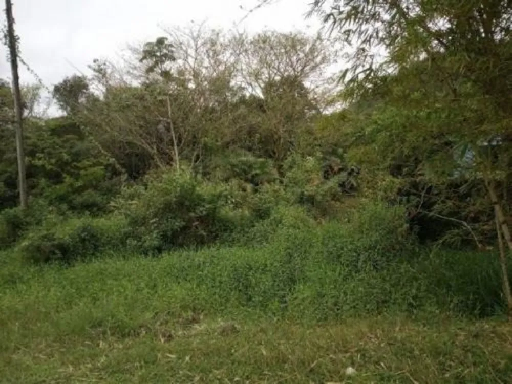 Terreno, 1000 m² - Foto 1