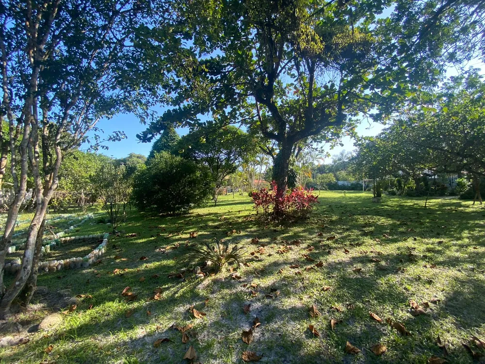 Chácara, 3 quartos, 4000 m² - Foto 7