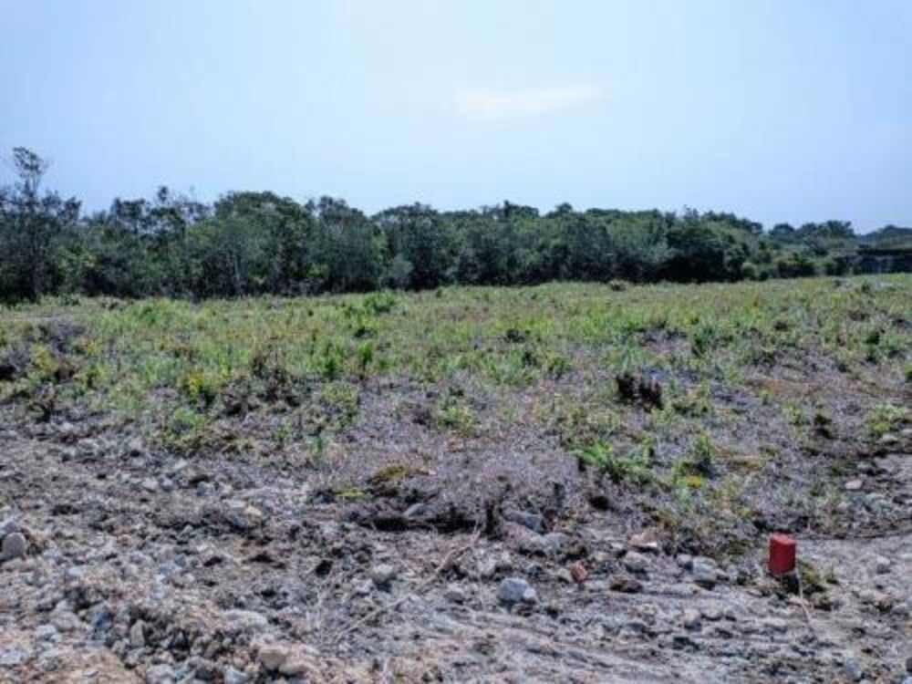 Terreno, 125 m² - Foto 1