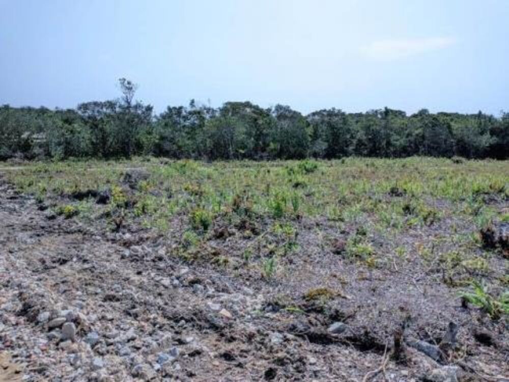 Terreno, 125 m² - Foto 4