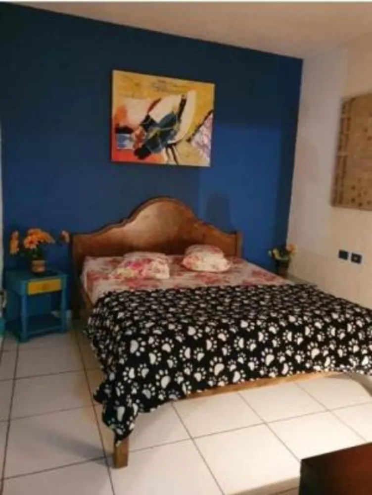 Imóvel Comercial - Foto 5