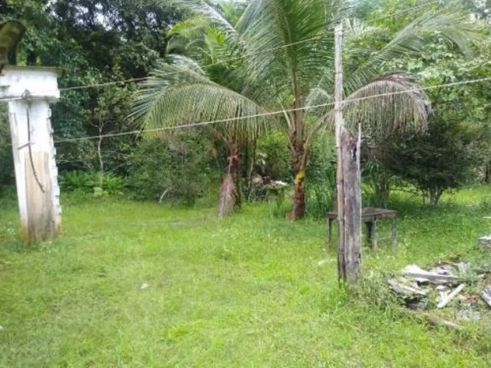 Chácara - Foto 5