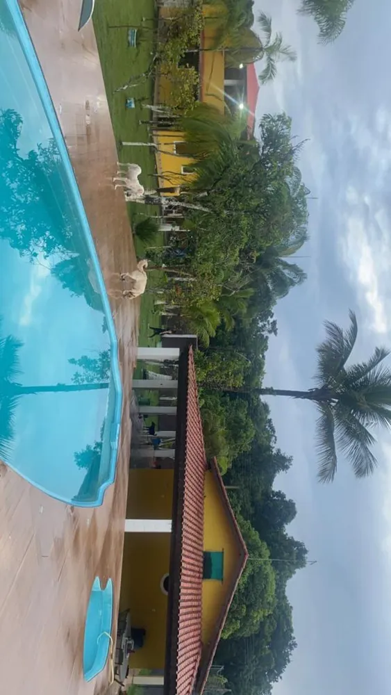 Chácara, 2 quartos, 1500 m² - Foto 11