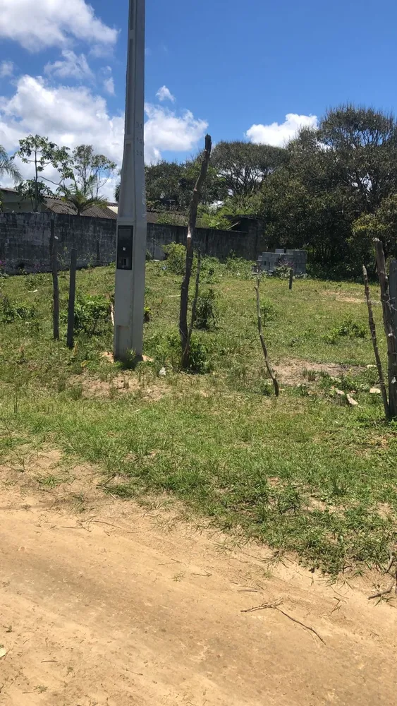 Terreno, 290 m² - Foto 8