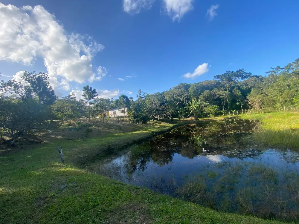 Chácara, 4 quartos, 6000 m² - Foto 11