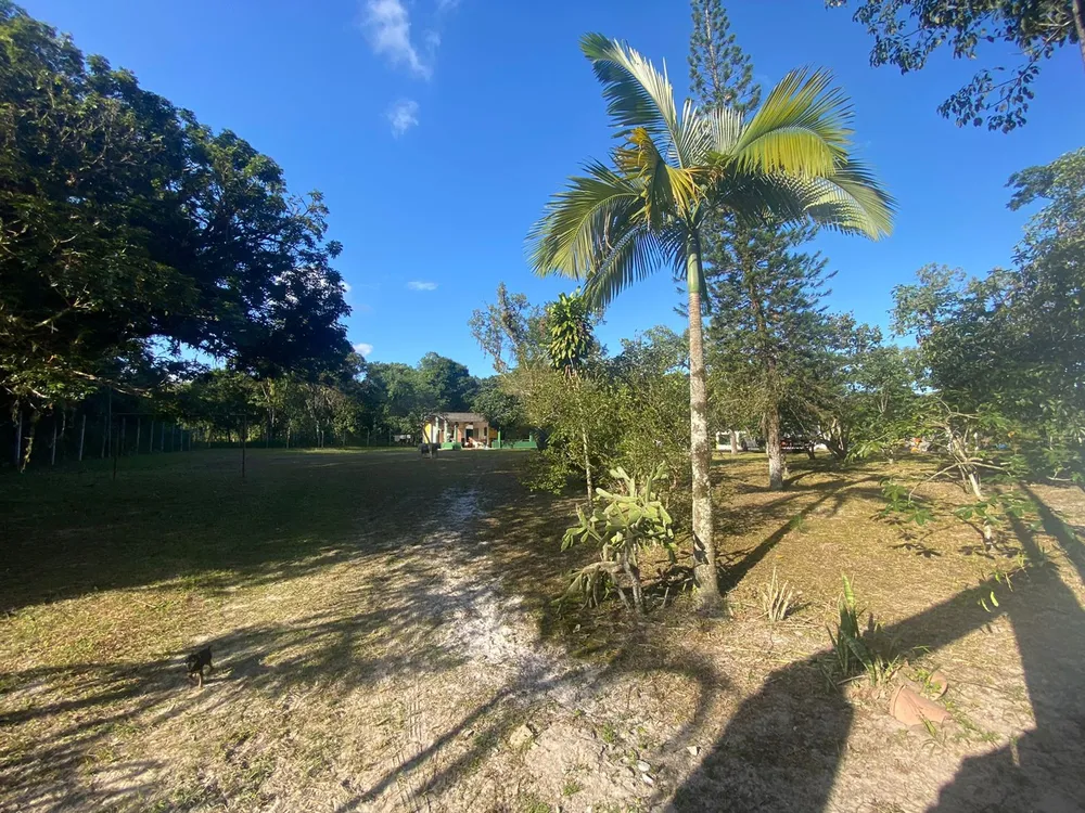 Chácara, 4 quartos, 6000 m² - Foto 12