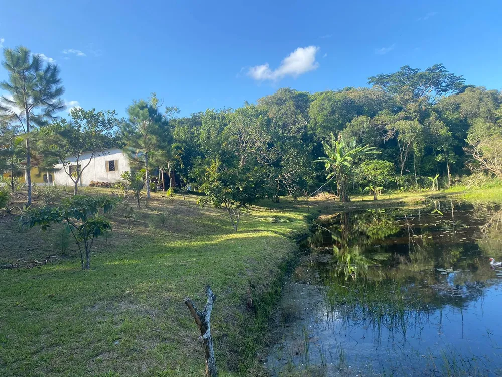 Chácara, 4 quartos, 6000 m² - Foto 9