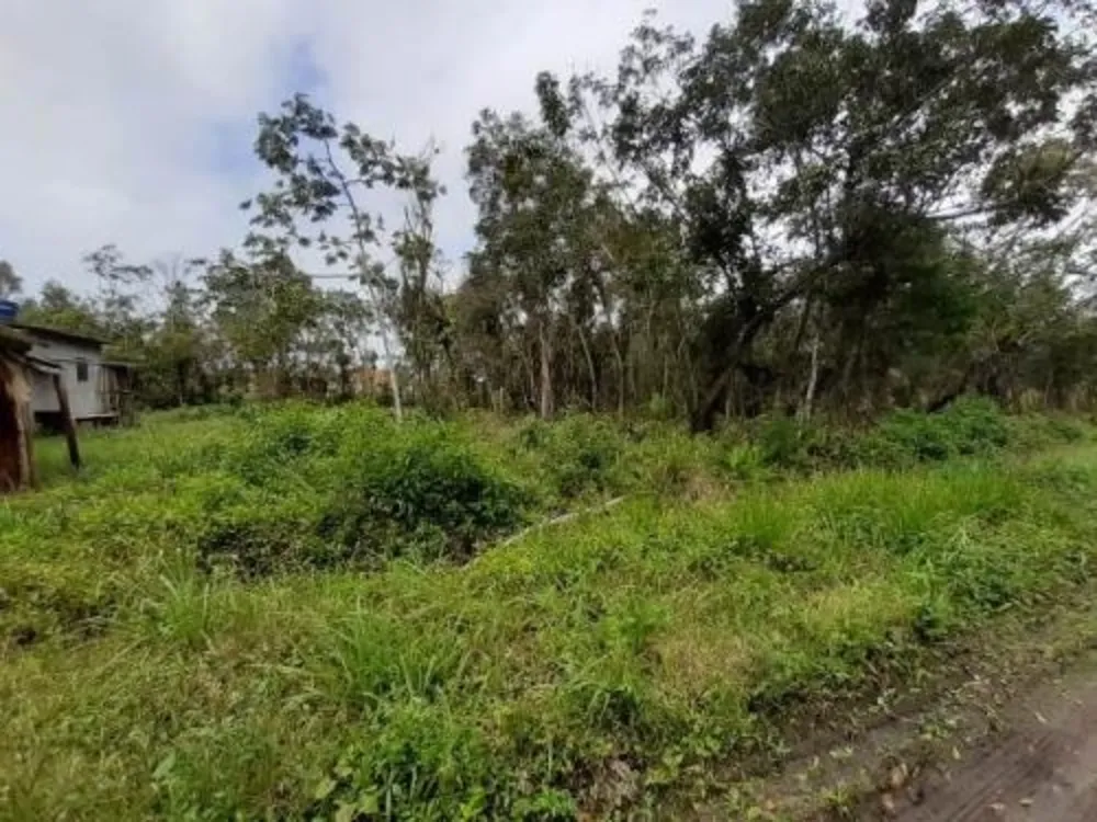 Terreno, 312 m² - Foto 4