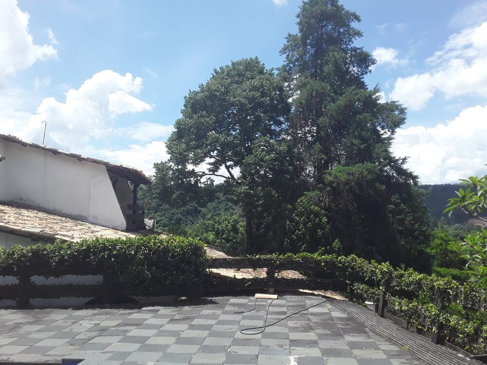 Casa, 3 quartos - Foto 14