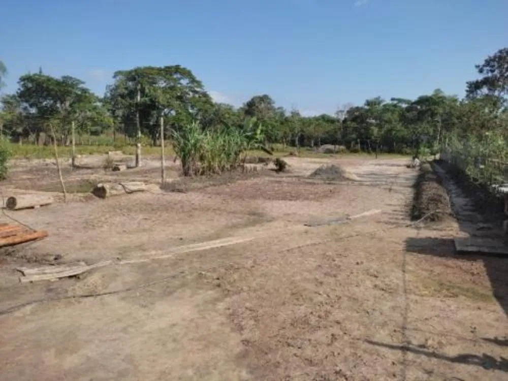 Chácara, 3 quartos - Foto 3