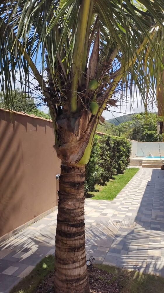 Casa, 3 quartos, 86 m² - Foto 3