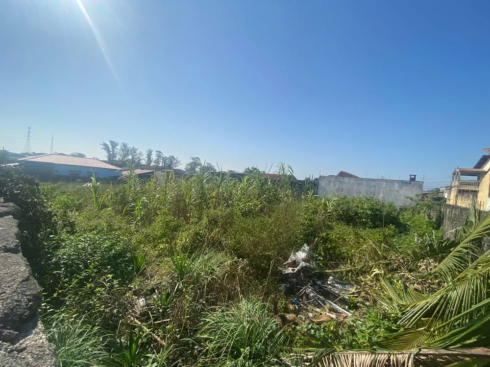 Terreno, 250 m² - Foto 2
