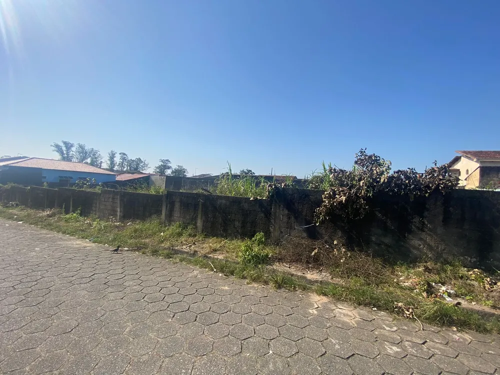 Terreno, 250 m² - Foto 3