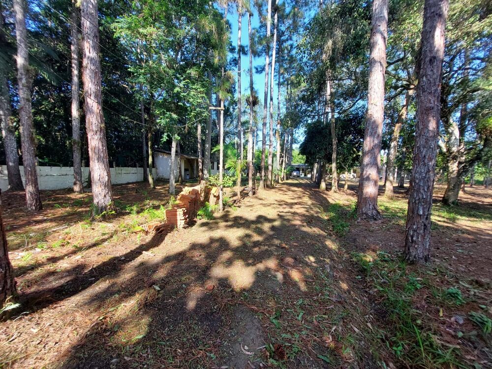 Chácara, 3 quartos - Foto 2