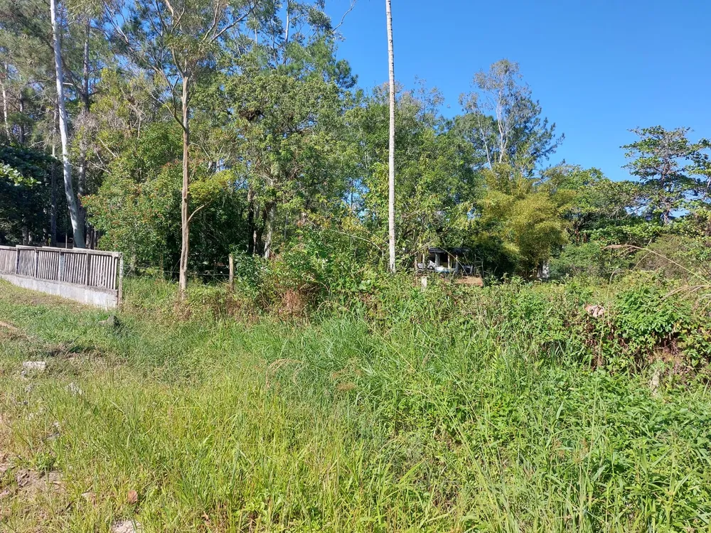 Chácara, 3 quartos - Foto 7