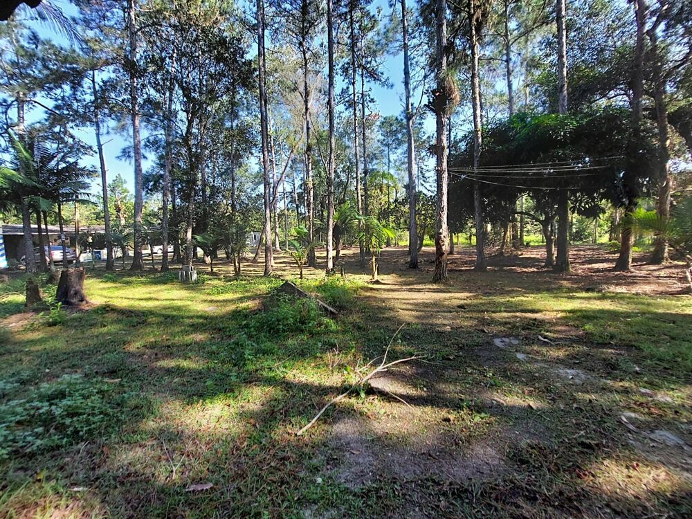 Chácara, 3 quartos - Foto 9