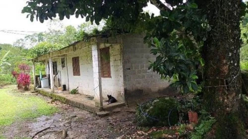 Chácara, 4 quartos, 4 hectares - Foto 6