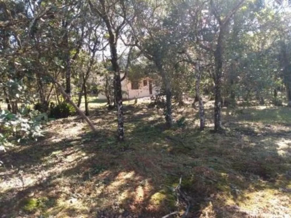 Chácara, 2 quartos, 1000 m² - Foto 6