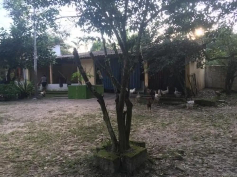 Chácara, 2 quartos, 4000 m² - Foto 3