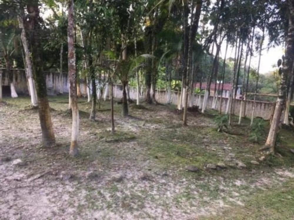 Chácara, 2 quartos, 4000 m² - Foto 2