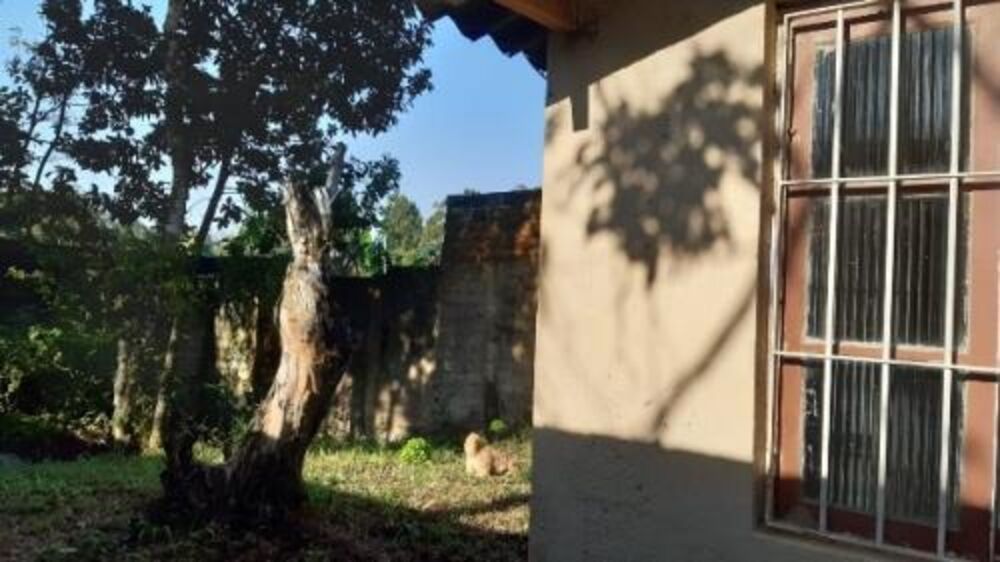 Casa, 3 quartos, 98 m² - Foto 4