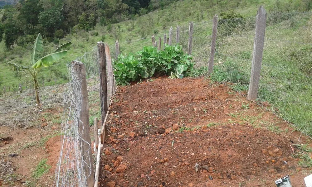 Chácara à venda com 1 quarto - Foto 4