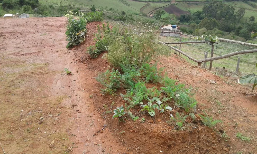 Chácara à venda com 1 quarto - Foto 5