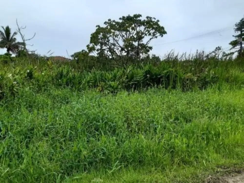 Terreno, 312 m² - Foto 1