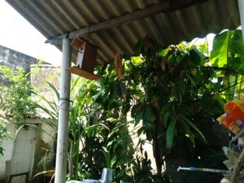 Casa, 3 quartos, 200 m² - Foto 3