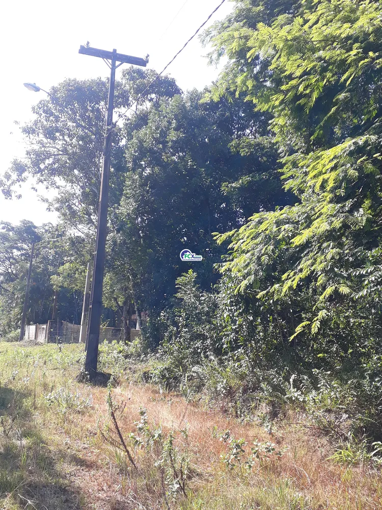 Terreno, 250 m² - Foto 1