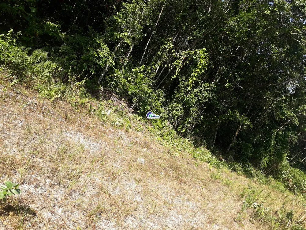 Terreno, 250 m² - Foto 5