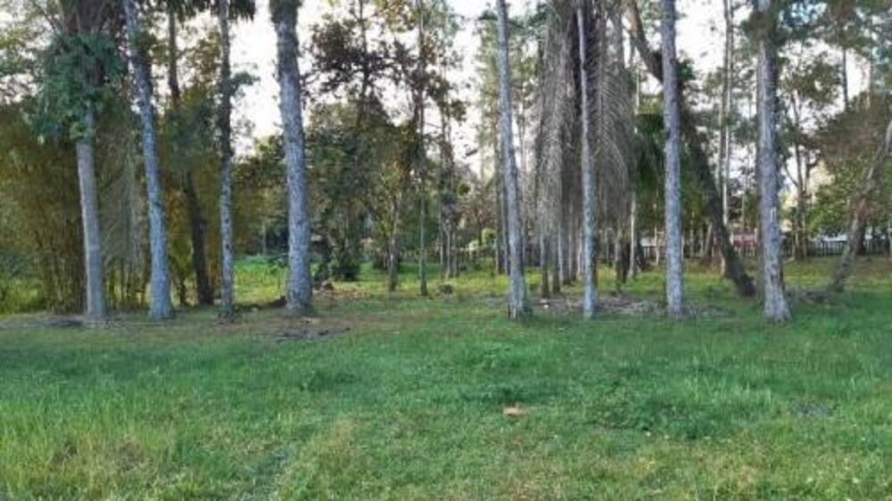 Chácara, 4 quartos - Foto 4