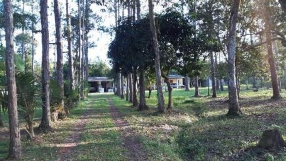 Chácara, 4 quartos - Foto 1