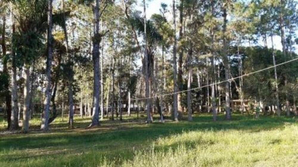 Chácara, 4 quartos - Foto 3