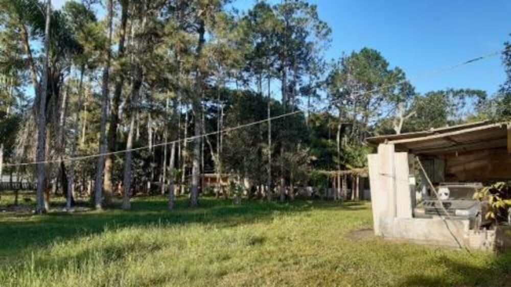 Chácara, 4 quartos - Foto 2