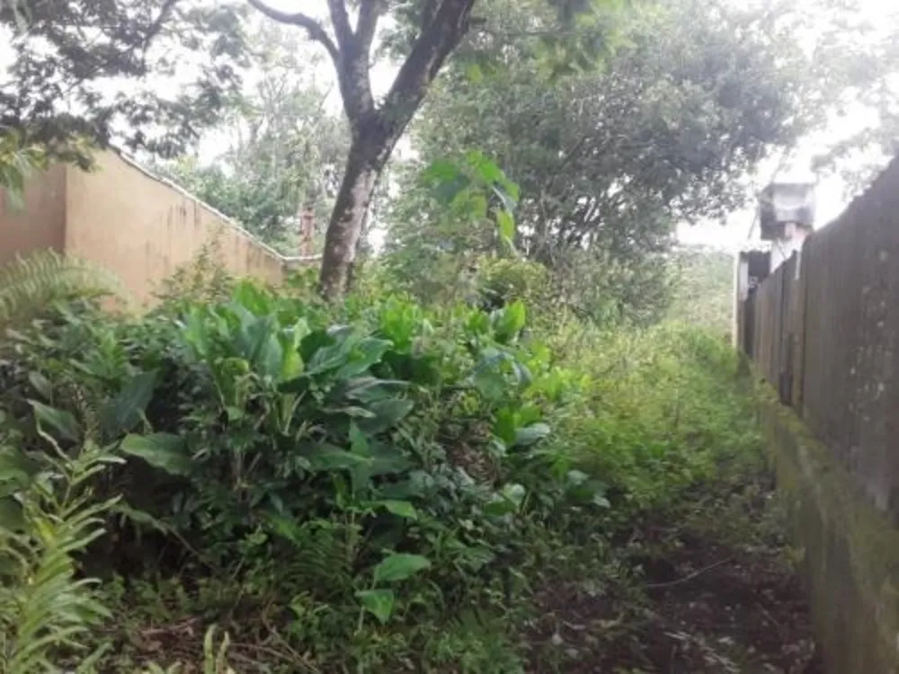 Terreno, 300 m² - Foto 1