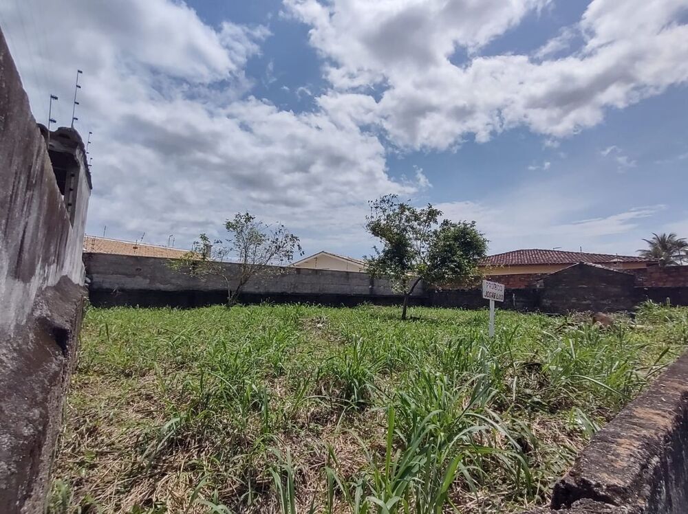 Terreno, 300 m² - Foto 3