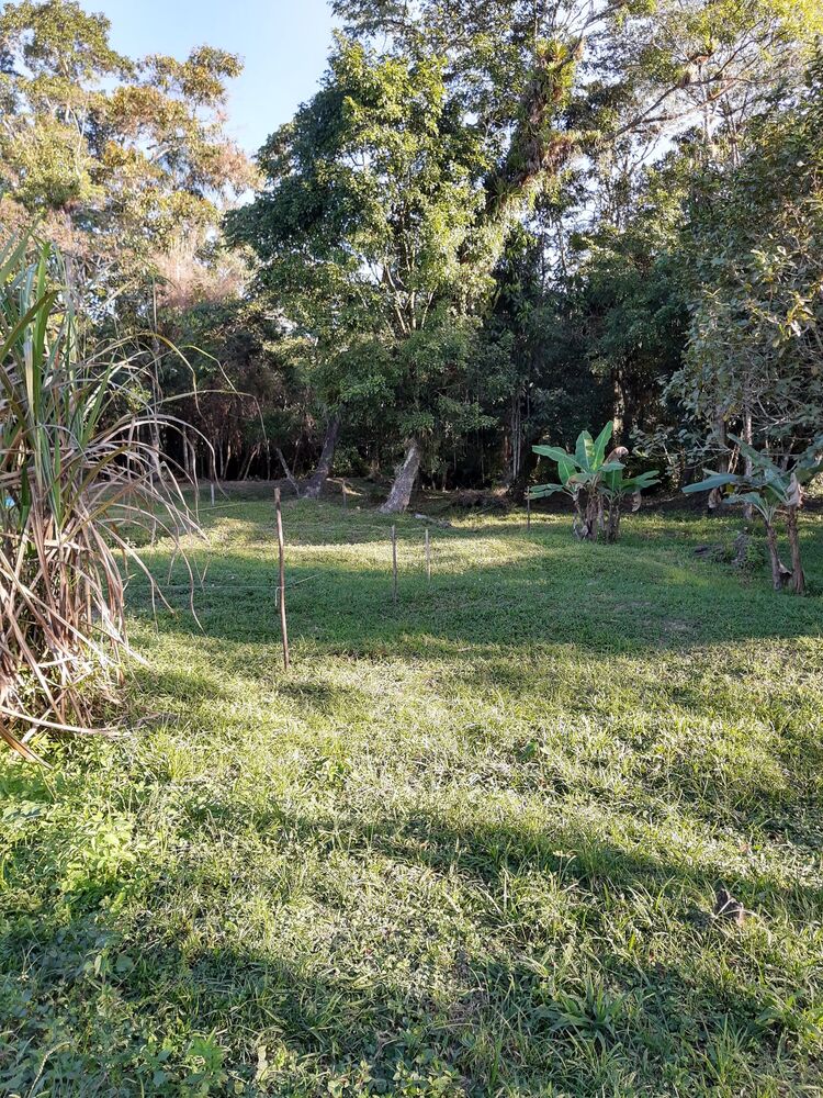Terreno, 1000 m² - Foto 4