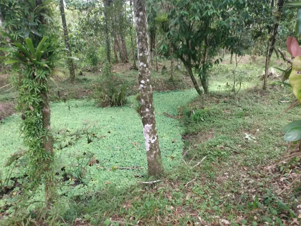 Terreno, 1000 m² - Foto 9