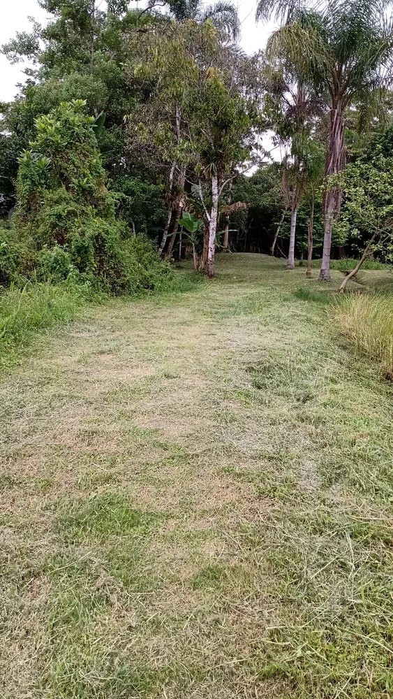 Terreno, 1000 m² - Foto 2