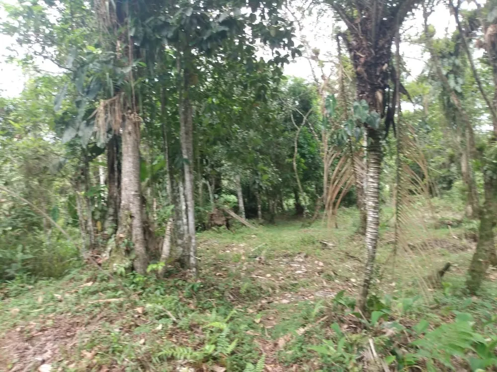 Terreno, 1000 m² - Foto 10