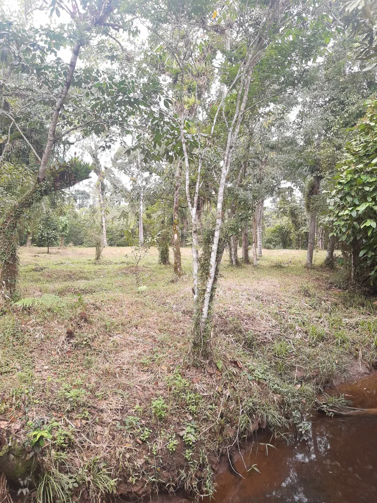 Terreno, 1000 m² - Foto 4
