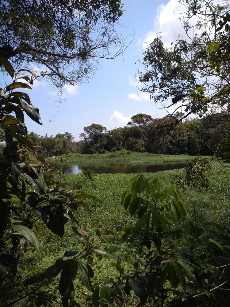Terreno, 1000 m² - Foto 1