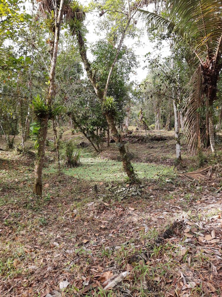 Terreno, 1000 m² - Foto 3